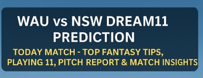 DREAM11 TEAM NSW VS WAU